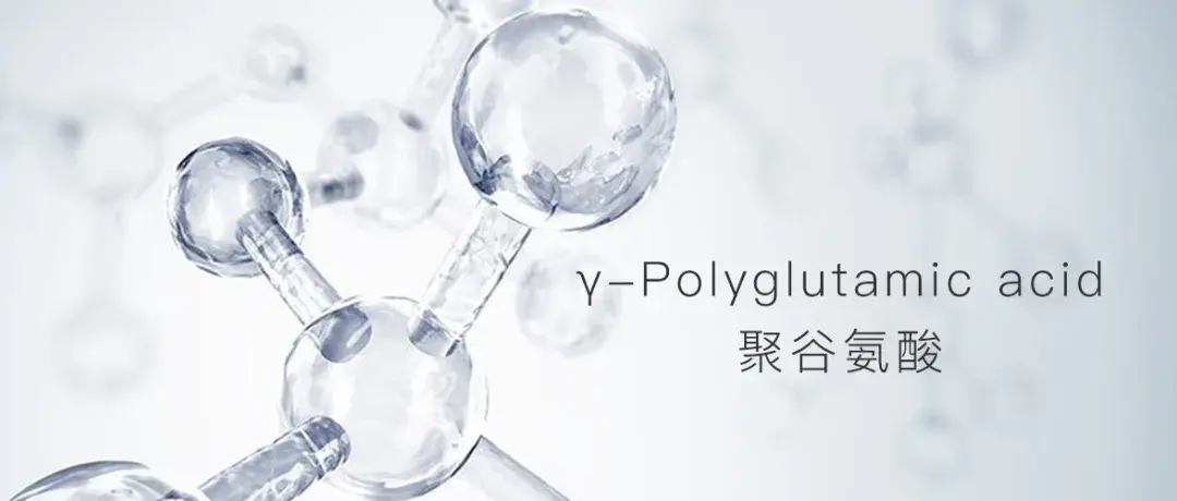 保湿界的生物发酵高分子保湿剂—γ-聚谷氨